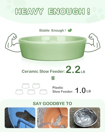 TRUVIC Ceramic Slow Feeder Dog Bowls, 1.5 Cup Puzzle Slow Feeder Bowls for Fast Eaters, Ceramic Dog Food Dish no Black Chin, Puzzle Bowl for Medium Dogs, Green - color: 04-Green, size: M-1.5 Cups