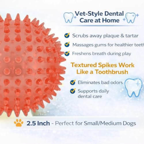 Squeaky Spiky Dog Ball for Teeth Cleaning & Gum Massage 2.5 Inch Small Medium Dogs Red | Spiny TPR Rubber Chew Toy for Fetch Play Interactive Bouncy Dental Ball Durable BPA Free Nontoxic Floats - size: Red Ball 1-Pack