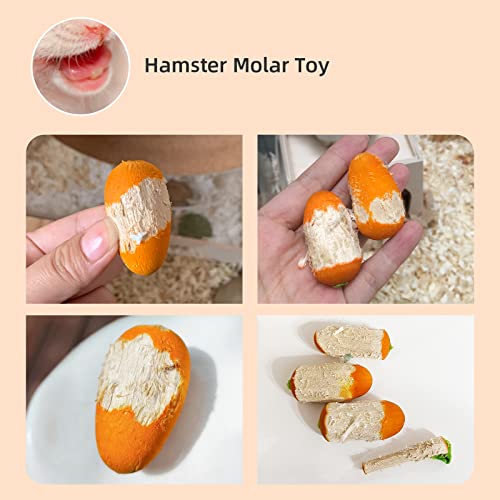 Niteangel Hamster Chew & Decor Toys: Pack of 6 Carrot-Shape & Beech Wood - size: Carrot-Shape