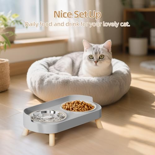 Elevated Cat Bowl, Raised Cat Food and Water Bowl Set for Indoor Cats, Splash Proof with 2 Stainless Steel Pet Food Bowls for Cats and Puppies, Whisker Fatigue and Dishwasher Safe - Grey - color: Cat Bowls-Grey