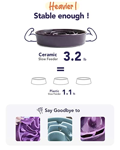 LE TAUCI Ceramic Slow Feed Dog Bowls, Elevated for Small and Medium Breed Dogs, Anti-Gulping Pet Feeding Dishes, Maze Purple, 1.5 Cups - color: Maze Purple+Stand, size: M-1.5 Cups