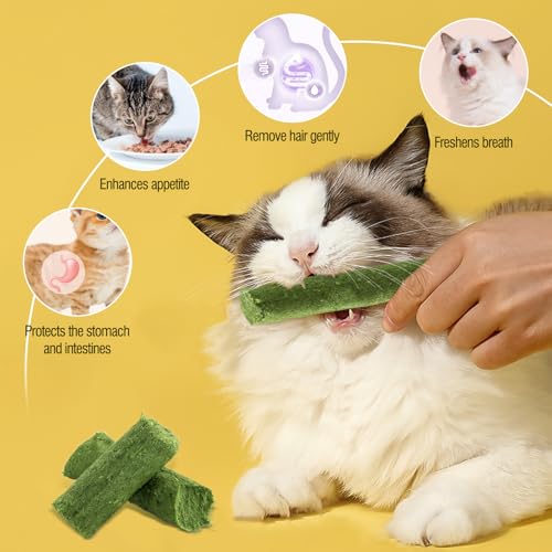 30g Cat Grass Sticks, Cat Grass Treats for Teeth Cleaning Hairball Removal