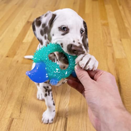 H&H Pets Small Dog Dental Chew Toy – Hedgehog-Shaped Puppy Chew Toy for Teething, Teeth Cleaning & Interactive Play