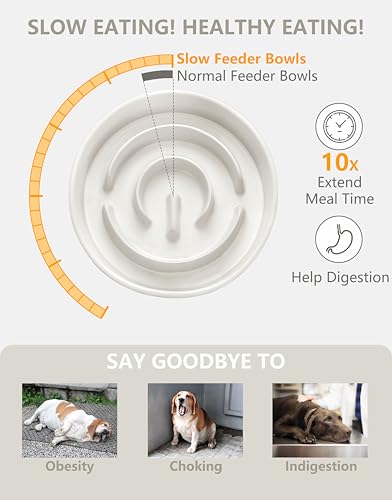 Ceramic Slow Feeder Dog Bowls, 0.6 Cup Slow Feeder for Small Dogs, Puzzle Maze Bowl, Prevents Choking, 6in, White - color: White, size: 6 Inches