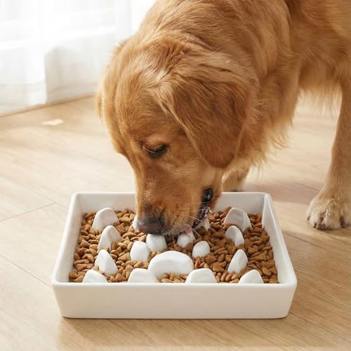 Ceramic 1.8 Cup for Small & Medium Breeds Slow Feeder Dog Bowl (White) - color: White