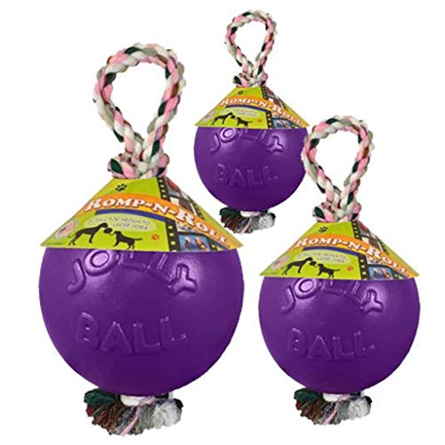 Jolly Pets Romp-N-Roll Rope & Ball Dog Toy, 8 in Large, Purple - color: Purple, size: Large (8 in)