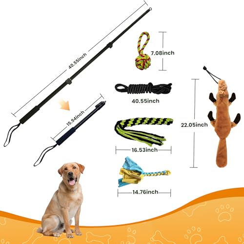 Flirt Pole for Dogs & GPS Wireless Dog Fence for Small Medium Large Dogs Training Playing Exercise