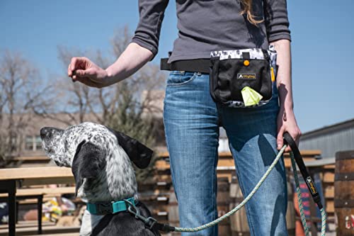 OllyDog Backcountry Day Bag, Fanny Pack, Dog Treat Pouch, Hands-Free for Training, Hip Pack with Built-in Poop Bag Dispenser, Removable Waist Belt Clip (Atlantic) - color: Atlantic