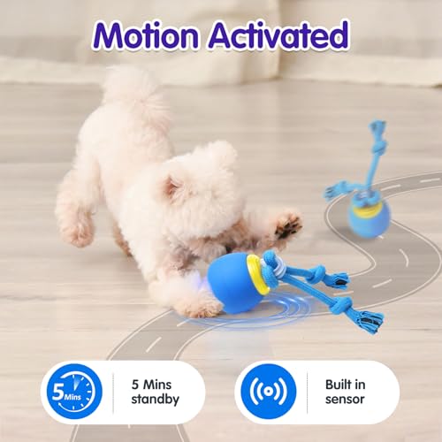 Interactive Dog Toys, Moving Dog Ball with Touch Activated, Active Rolling Ball for Puppy and Medium Dogs, Squeaky, USB Rechargeable