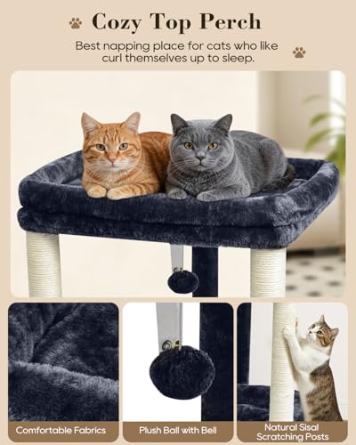 SYANDLVY Small Cat Tree for Indoor Cats with 2 Levels Perch Platforms - color: Smoky