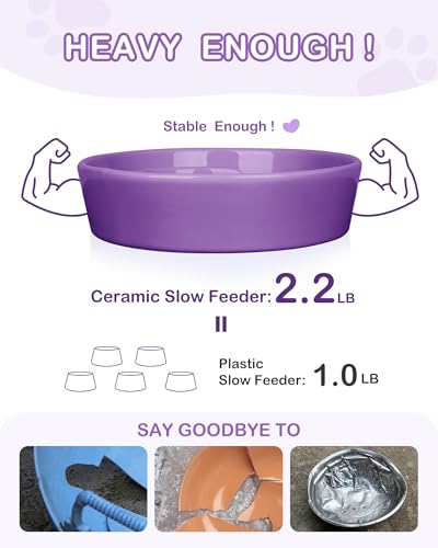 TRUVIC Ceramic Slow Feeder Dog Bowls, 1.5 Cup Puzzle Slow Feeder Bowls for Fast Eaters, Ceramic Dog Food Dish no Black Chin, Puzzle Bowl for Medium Dogs, Purple - color: 03-Purple, size: M-1.5 Cups