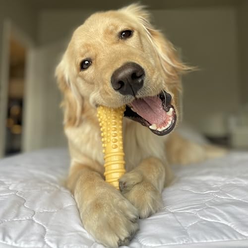Nylabone Power Chew Customer Favorites Dog Chew Toys, 3 Count, Large - color: Bundle, size: Large