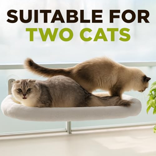 Cat Window Perch – Strong 6 Suction Cup Foldable Cat Hammock Bed for Large Cats and Kittens that Holds up to 50 lbs with Washable Reversible Cover, Sturdy Metal Frame for Window (White) - color: White