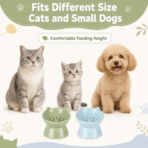 STARVAST 2 Pack Ceramic Slow Feeder Cat Bowl, Elevated
