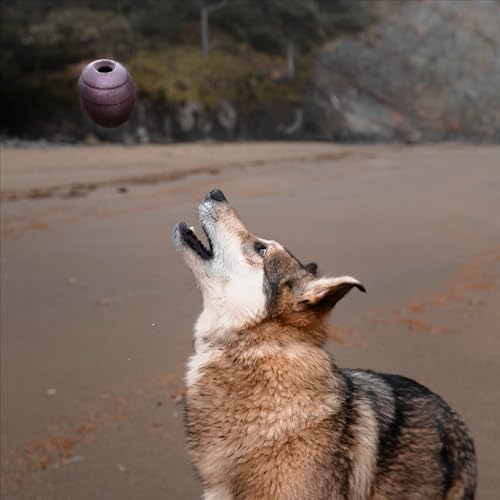 BarkBox Pine Cone Dog Toy - Toy for Large Dogs - color: Pine Cone-Large
