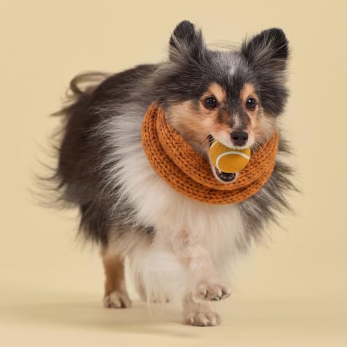 Playology Squeaky Chew Ball Dog Toy - Small, Pumpkin Spice Scent, 3-Pack - size: Small (VALUE 3-Pack), style: Pumpkin Spice