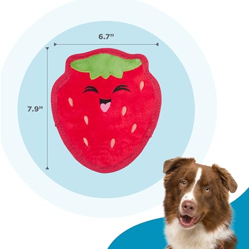 Outward Hound Tough Skinz Durable Chew Squeaky Dog Toy, Strawberry, 7.9" - color: Strawberry, size: Medium