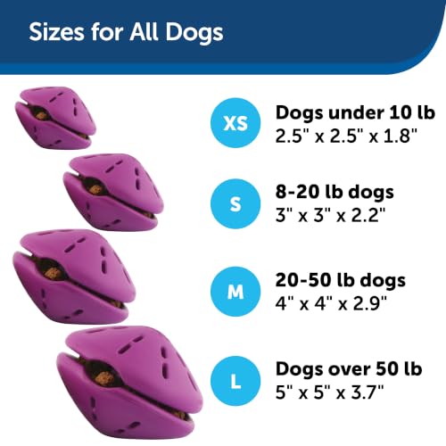 PetSafe Busy Buddy Twist 'n Treat Dispensing Dog Toy, Small - size: Small (Pack of 1)