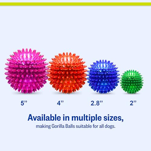 PetSport Gorilla Spiky Ball 4” - Spiky Rubber Dog Ball Toy, Interactive Puppy Toy for Small and Medium Size Dogs, TPR Rubber, Vanilla Scented - 4 Inch, Large - color: Assorted, size: 4 Inch - Large