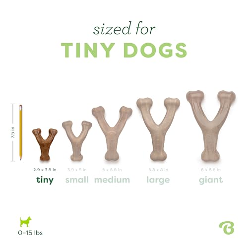 Benebone Wishbone Dog Chew Toy for Aggressive Chewers, Real Bacon, Tiny - size: Tiny