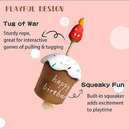 Dog Birthday Toy, Squeaky Birthday Cake Gift for Small Medium Dogs - style: Birthday Cake