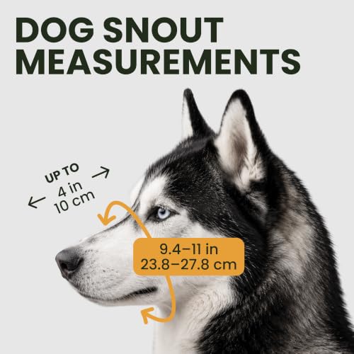 BRONZEDOG Stainless Steel Wire Basket Dog Muzzle for Husky - size: Husky