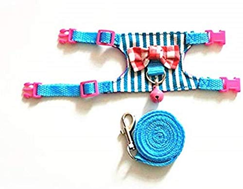 Litewoo Small Animal Harness Leash Set for Guinea Pig (Medium,Blue Stripe) - color: Blue Stripe, size: Medium