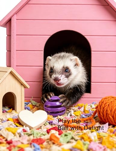10 Pack Hollow Cutout Bell Play Balls for Ferret, Non Toxic, PP Material