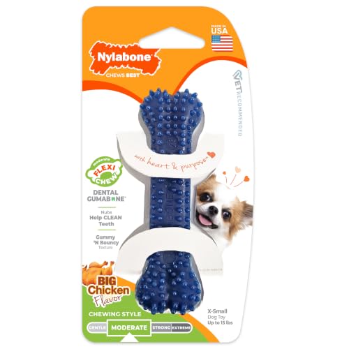 Nylabone Flexi Chew Dental Gumabone Dog Chew Toy, Chicken Flavor, X-Small - size: X-Small