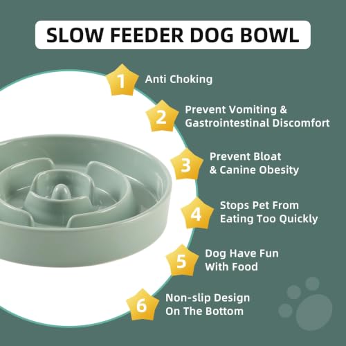 Havniva Ceramic Slow Feeder Dog Bowls, 8.3 in Slow Feeder for Medium Breed - color: Light Green