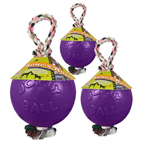 Jolly Pets Romp-N-Roll Rope & Ball Dog Toy, 6 in Medium, Purple - color: Purple, size: Medium (6 in)