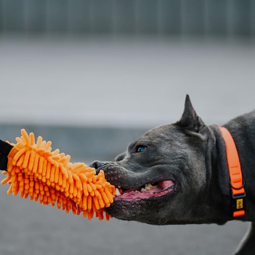 Dingo Dog tug Toy with Bungee Handle, Microfiber, Orange 17in - color: Orange