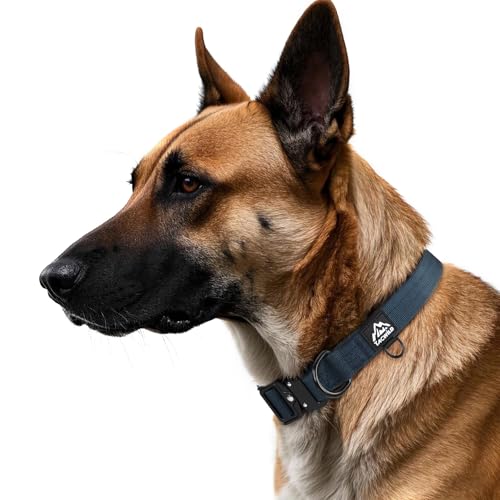 Dog Collar for Large Medium Dogs Heavy Duty Nylon Tactical Training - color: Navy Blue, size: L(1''Width, Fit 14''-20'')