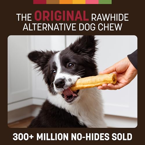 Earth Animal No Hide Dog Chews - Rawhide Free Medium Rolls 3 Count Beef - size: 3 Count (Pack of 1)
