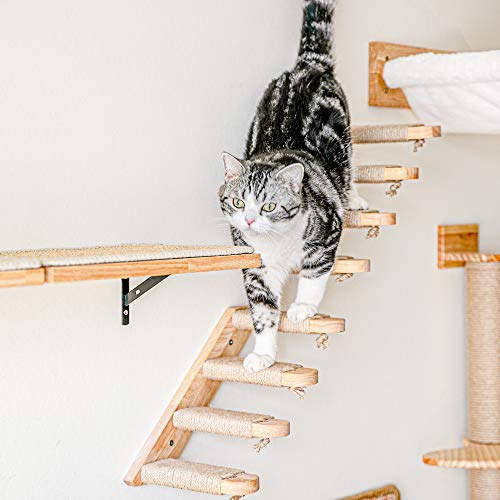 FUKUMARU Cat Climbing Shelf Wall Mounted, Small - size: Small (Bidirectional)
