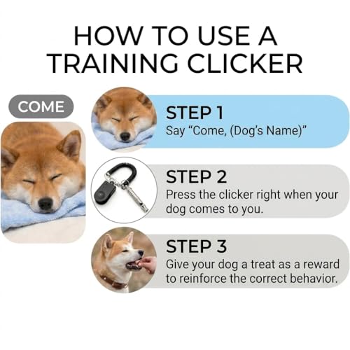 Dog Training Clicker and Whistle Set, 2-in-1 Positive Reinforcement Tool for Puppies, Dogs and Cats, Behavior Correction Device, Dog Training Tool Kit, Black