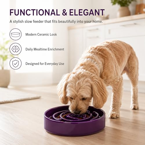 Ceramic Slow Feeder Dog Bowl,1.5 Cups Pet Slow Feeder for Small and Medium Breed,Puzzle Dog Food Dish,Anti-Gulping,Stop Bloat,Preventing Choking(Purple) - color: Purple