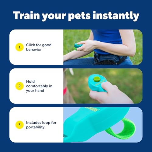 PetSafe Clik-R Dog Training Clicker, Blue - color: Blue