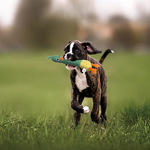 Nocciola 2 in 1 Easter Duck Dog Toy with a Large Rubber Squeaker - Tough Durable Stuffed Squeaky Crinkle Chew Toys for Aggressive Chewers, Medium and Large Breeds - color: Green Duck