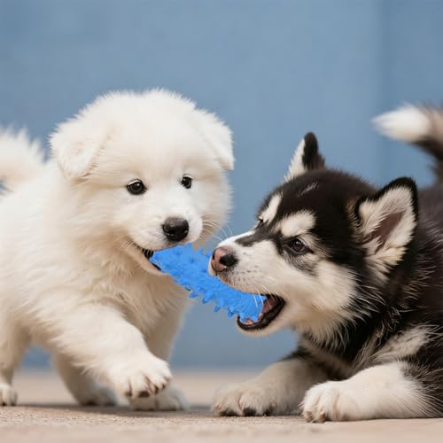 2 Pack Dog Chew Toys, Tough Puppy Teething Toys for Puppies, Soft Foaming Rubber Toys for Small Medium Breed (Blue)