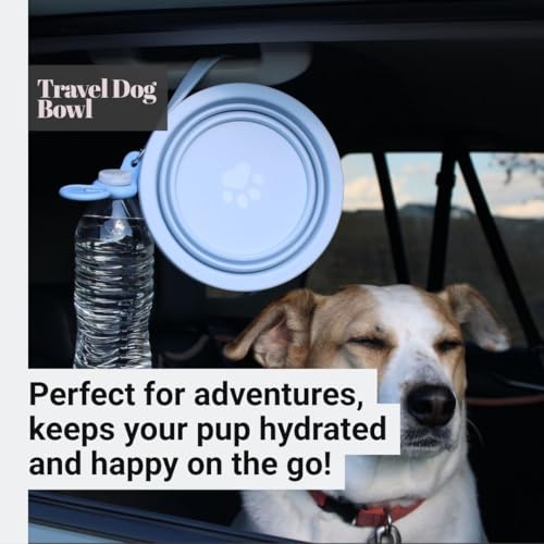 Black Slow Feeder Travel Dog Bowl Set – 30oz Stainless Steel + 20oz Collapsible Silicone Dish + Silicone Slow Feeder Insert | Water Bottle Holder | Non-Slip, Anti-Choking, BPA-Free – Claim - color: Slow feeder Black Bowl
