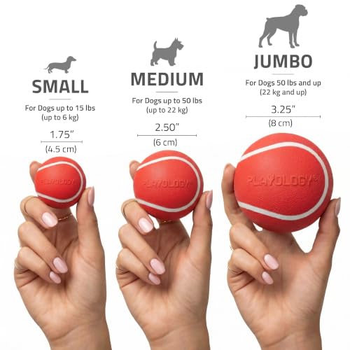 Playology Squeaky Chew Ball Dog Toy - Medium, Beef Scent - size: Medium, style: Beef