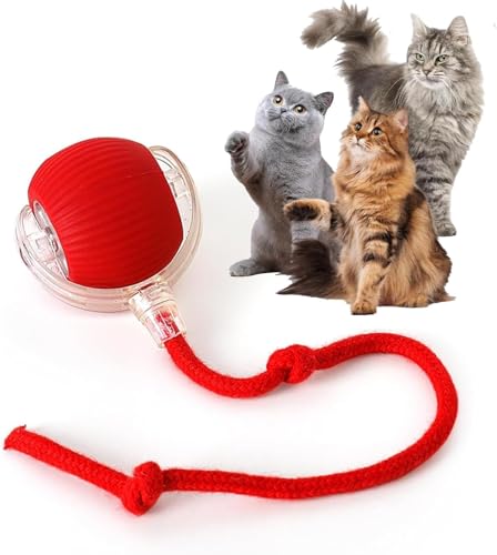 Rocfish Interactive Cat Toys for Indoor Cats, Automatic Cat Ball Toy - color: red01, size: 01