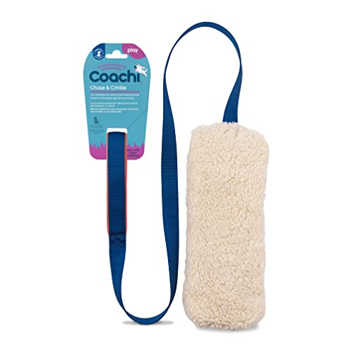 Coachi Chase & Crinkle - A Fun Enrichment Dog Toy for Chase & Play - style: Chase & Crinkle