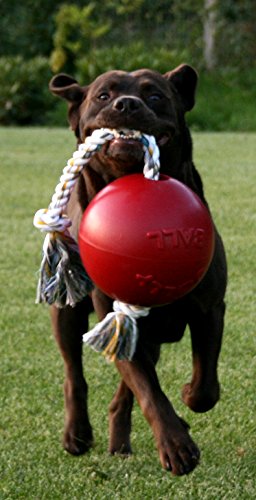 Jolly Pets Romp-n-Roll Rope and Ball Dog Toy, 8 Inches/Large, Orange - color: Orange, size: Large (8 in)