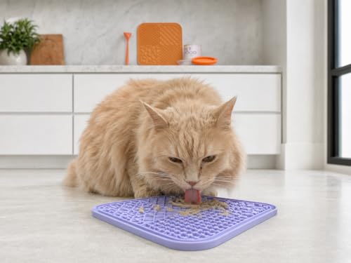 2 Pack Dog Lick Mats with Lid and Spatula, Silicone Slow Feeder Mats