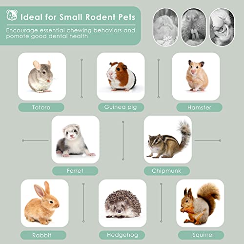 Bissap Sweet Bamboo Chew Sticks for Rabbits 500g/1.1Ib, Bunny Molar Treats Snack for Small Animals Hamsters Chinchillas Guinea Pigs Squirrels Natural Teeth Grinding Toys - size: 1 Count (Pack of 1)