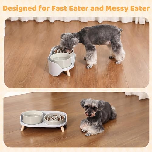 Elevated Slow Feeder Dog Bowls with Splash Proof Stand, Slow Eating 5X - color: Grey