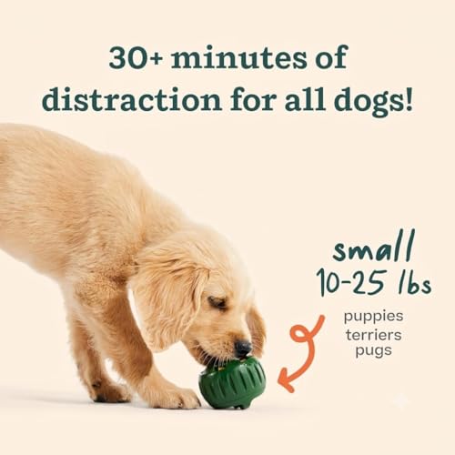 WOOF Starter Pack Dog Treat Toy for Small Dogs 10-25 lbs - size: Small Starter Pack