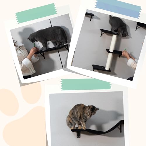 COZIWOW 5Pcs Wall Mount Cat Tree & Shelf Furniture for Large Cats, Black - color: Black